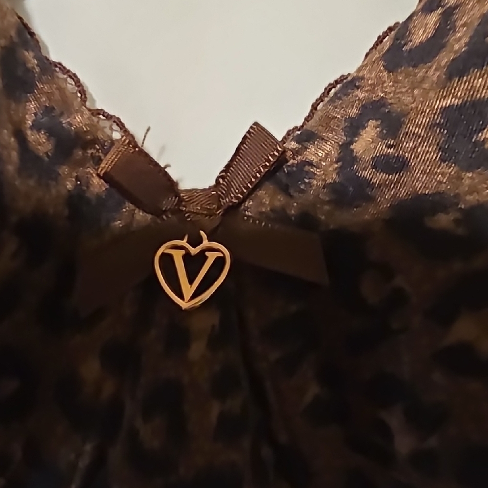Victoria's Secret Brown Leopard and Blue Striped Bra Set - Picture 2 of 12